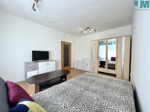 Pronájem bytu 1+1, Třebíč, Obránců míru, 32 m2