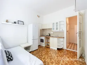 Pronájem bytu 1+kk, Praha - Vinohrady, Soběslavská, 20 m2