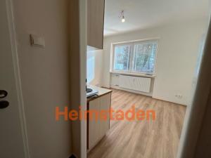 Pronájem bytu 1+kk, Paskov, Bělská, 18 m2