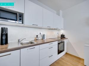 Pronájem bytu 2+kk, Olomouc, Wolkerova, 53 m2