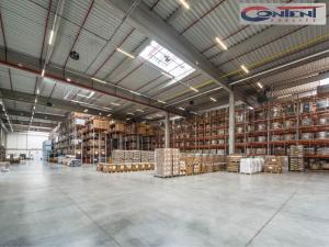 Pronájem skladu, Krupka, Eduarda Proppera, 12500 m2