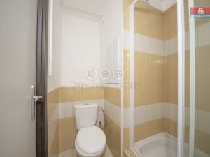 Prodej bytu 2+kk, Děčín - Děčín V-Rozbělesy, Závodní, 42 m2