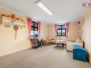 Prodej zahrady, Ústí nad Labem, Žitná, 652 m2