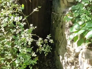 Prodej pozemku pro bydlení, Habrůvka, 977 m2