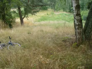 Prodej zahrady, Krušovice, 2000 m2