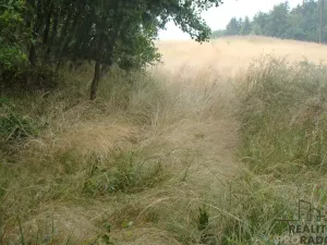 Prodej zahrady, Krušovice, 2700 m2