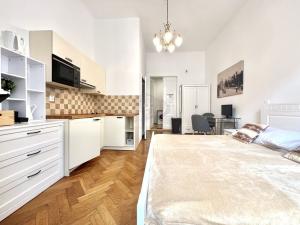 Pronájem bytu 1+kk, Praha - Nové Město, Vodičkova, 29 m2