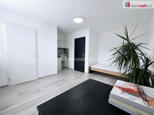 Pronájem bytu 1+kk, Lužná, Nová, 20 m2