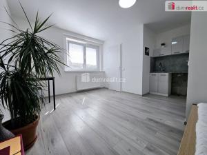 Pronájem bytu 1+kk, Lužná, Nová, 20 m2