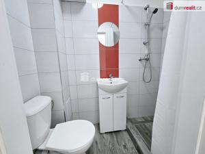 Pronájem bytu 1+kk, Lužná, Nová, 20 m2
