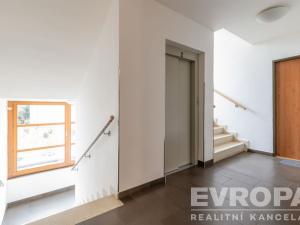 Pronájem bytu 1+kk, Praha - Hloubětín, Nehvizdská, 47 m2