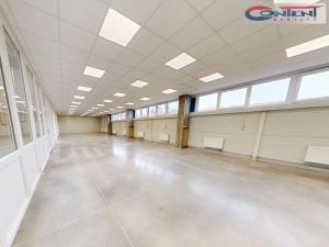 Pronájem skladu, Havlíčkův Brod, Kyjovská, 4500 m2