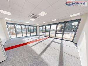 Pronájem skladu, Havlíčkův Brod, Kyjovská, 4500 m2