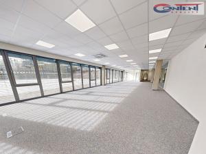 Pronájem skladu, Havlíčkův Brod, Kyjovská, 4500 m2
