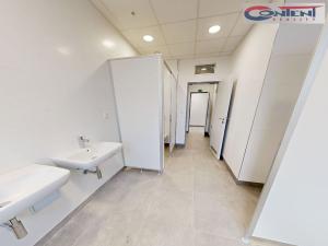 Pronájem skladu, Havlíčkův Brod, Kyjovská, 4500 m2