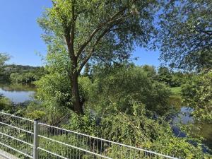 Pronájem bytu 3+kk, Týnec nad Sázavou - Brodce, 80 m2