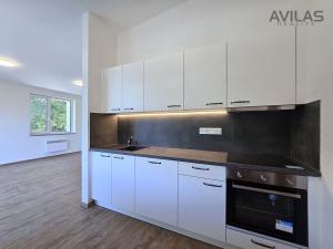 Pronájem bytu 3+kk, Týnec nad Sázavou - Brodce, 79 m2