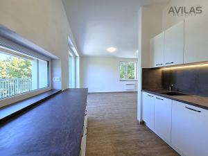 Pronájem bytu 3+kk, Týnec nad Sázavou - Brodce, 79 m2