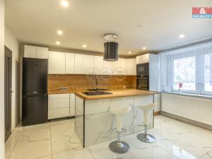 Prodej rodinného domu, Domoušice, 250 m2