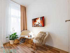 Pronájem apartmánu, Karlovy Vary, Petřín, 337 m2