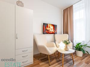 Pronájem apartmánu, Karlovy Vary, Petřín, 337 m2