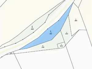 Prodej lesa, Nová Bystřice, 1382 m2