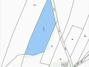 Prodej lesa, Nová Bystřice, 3201 m2