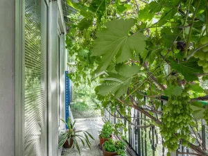 Prodej rodinného domu, Ždírec nad Doubravou, U Potoka, 130 m2