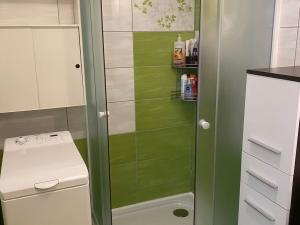 Pronájem bytu 2+1, Žďár nad Sázavou, Kopečná, 52 m2