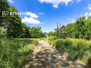 Prodej pozemku pro bydlení, Velemín, 5381 m2