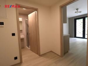 Pronájem bytu 1+kk, Praha - Hlubočepy, Na Zlíchově, 30 m2