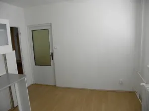 Pronájem bytu 1+1, Jihlava, Březinova, 32 m2