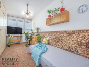 Prodej bytu 3+1, Třemošnice, Družstevní, 76 m2