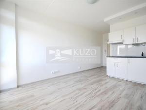 Pronájem bytu 1+kk, Chomutov, Seifertova, 20 m2