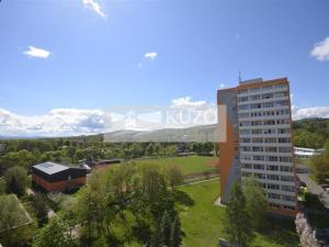 Pronájem bytu 1+kk, Chomutov, Seifertova, 20 m2