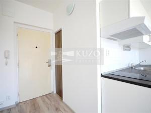 Pronájem bytu 1+kk, Chomutov, Seifertova, 20 m2