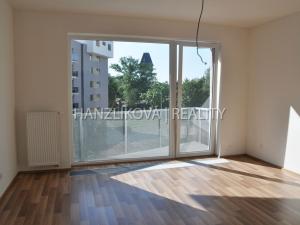 Pronájem bytu 1+kk, České Budějovice - České Budějovice 2, Volejbalistů, 28 m2