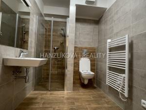 Pronájem bytu 2+kk, České Budějovice, 52 m2