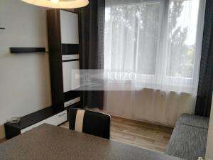 Prodej bytu 1+kk, Chomutov, Bezručova, 25 m2