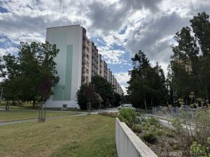 Prodej bytu 2+1, Brno, Nezvalova, 56 m2