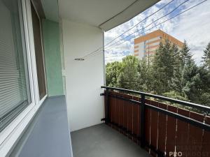 Prodej bytu 2+1, Brno, Nezvalova, 56 m2