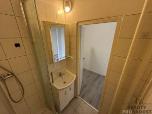 Prodej bytu 2+1, Brno, Nezvalova, 56 m2