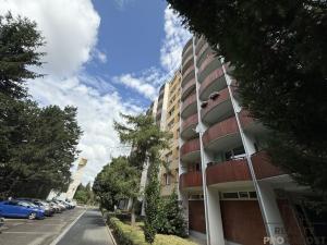 Prodej bytu 2+1, Brno, Nezvalova, 56 m2