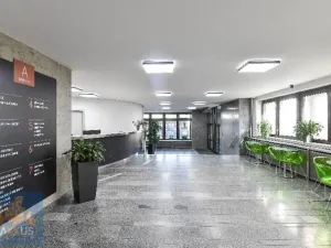 Pronájem kanceláře, Praha - Hradčany, Milady Horákové, 190 m2