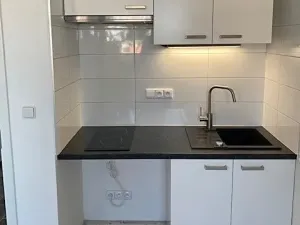 Pronájem bytu 1+kk, Brno, Halasovo náměstí, 23 m2