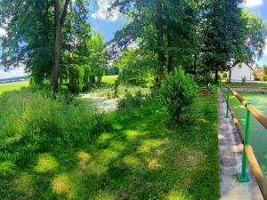 Prodej zemědělské usedlosti, Mišovice, 580 m2