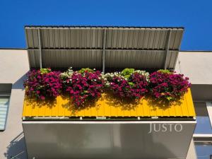 Prodej bytu 3+1, Písek - Budějovické Předměstí, třída Přátelství, 64 m2