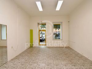 Pronájem obchodního prostoru, Brno, Štefánikova, 56 m2