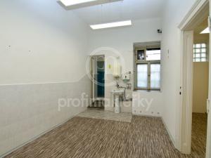 Pronájem obchodního prostoru, Brno, Štefánikova, 56 m2