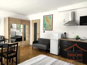Prodej bytu 1+1, Říčky v Orlických horách, 32 m2